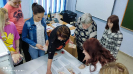Обучающий набор 