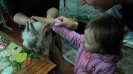 В гостях у матушки Природы_1