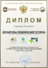 Дипломы педагогам_2