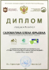 Дипломы педагогам_3