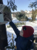 Поможем птицам перезимовать!