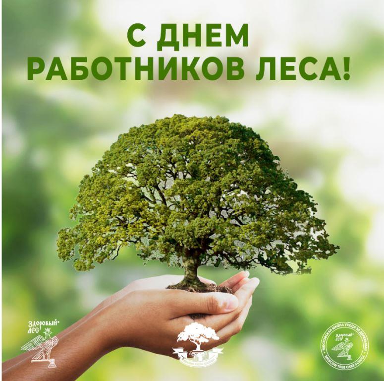 День раб леса